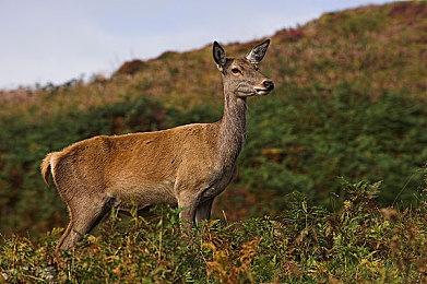 《变形金刚：银河试炼》角色预告展示强大阵容