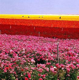 《银河战士Prime 4》已获年龄分级 或将于年内发售