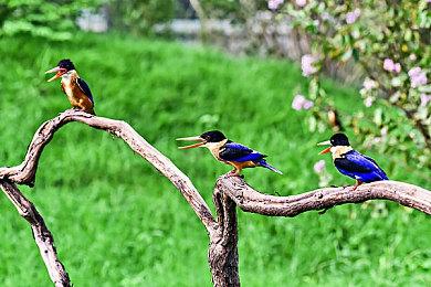 《数字战斗模拟世界》将加入F-4E鬼怪II 预告片赏